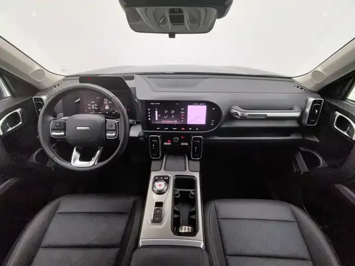 Haval Big Dog 2024 1.5T DCT Labrador Edition 5