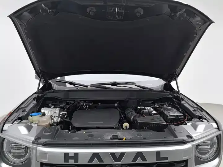 Haval Big Dog 2024 1.5T DCT Labrador Edition 6