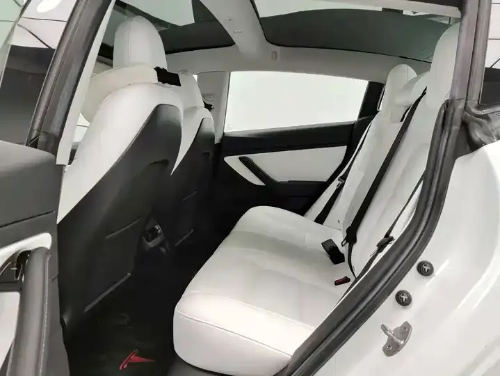 Model 3 2021 Standard Endurance Rear Drive Upgrade 10