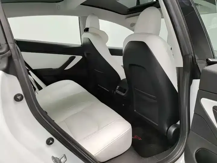Model 3 2021 Standard Endurance Rear Drive Upgrade 11
