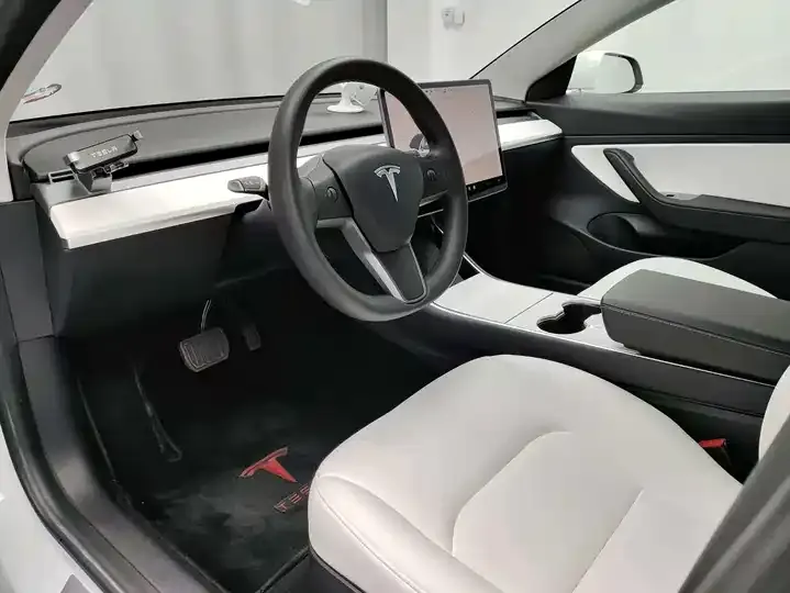 Model 3 2021 Standard Endurance Rear Drive Upgrade 7