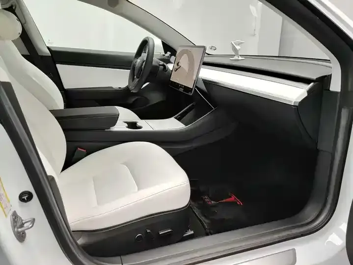 Model 3 2021 Standard Endurance Rear Drive Upgrade 9
