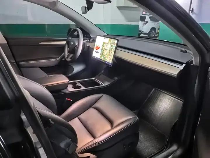 Model Y 2021 Standard Endurance Rear Drive Edition 2