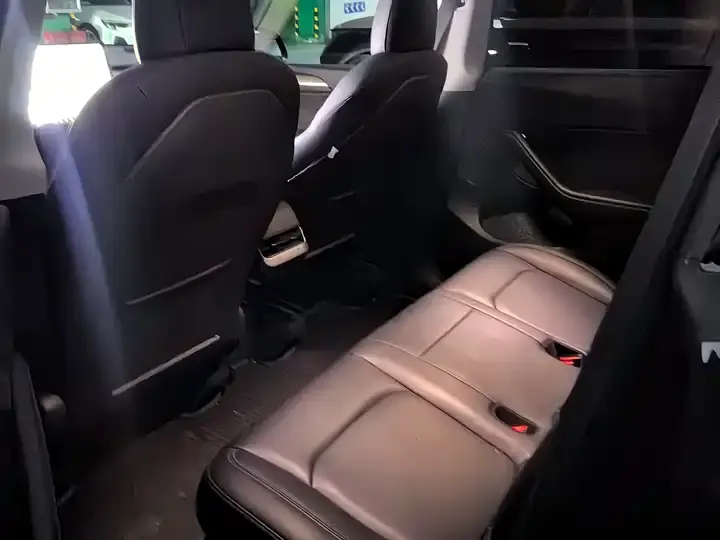 Model Y 2021 Standard Endurance Rear Drive Edition 5