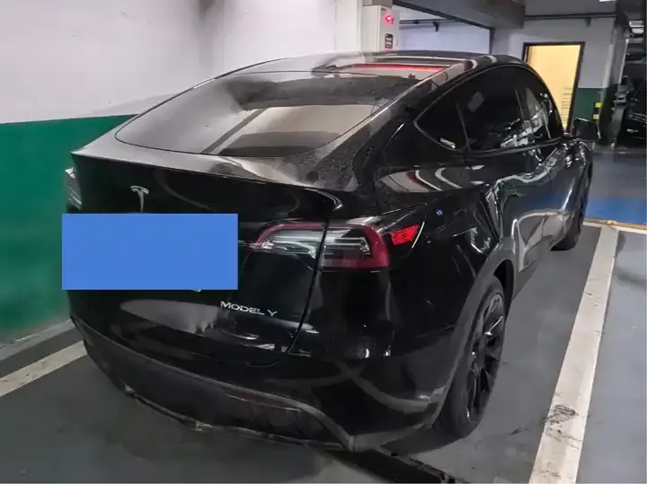 Model Y 2021 Standard Endurance Rear Drive Edition 6