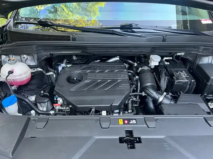 Jiahua 2021 2.0T Flagship Edition 12