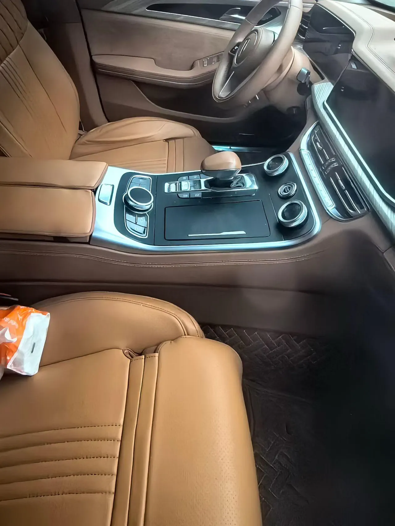 HongQi 2020 H9 48V 2.0T Zhilian Qi Chang Edition Automatic Gear 5