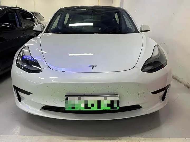 Model 3 2020 Standard Endurance Rear Drive Upgrade 2