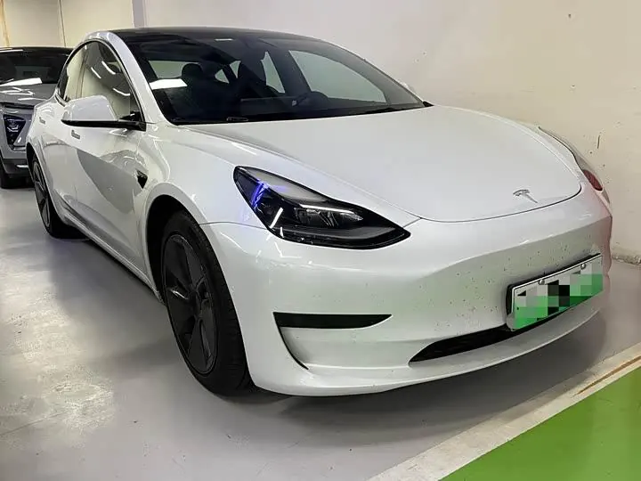 Model 3 2020 Standard Endurance Rear Drive Upgrade 3