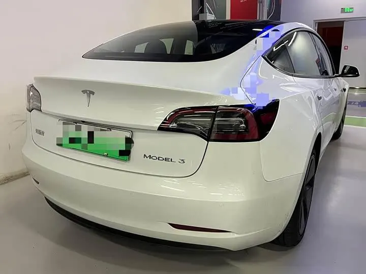 Model 3 2020 Standard Endurance Rear Drive Upgrade 4