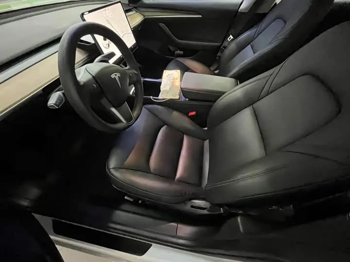Model 3 2020 Standard Endurance Rear Drive Upgrade 5