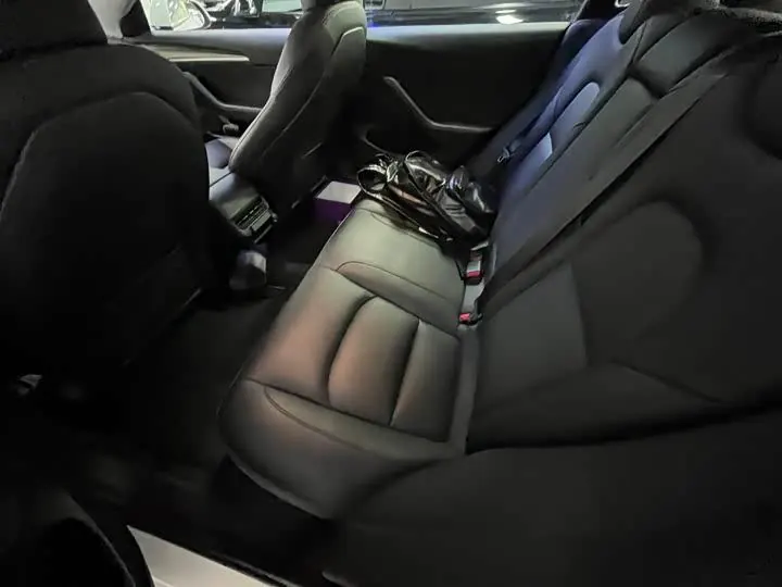 Model 3 2020 Standard Endurance Rear Drive Upgrade 8