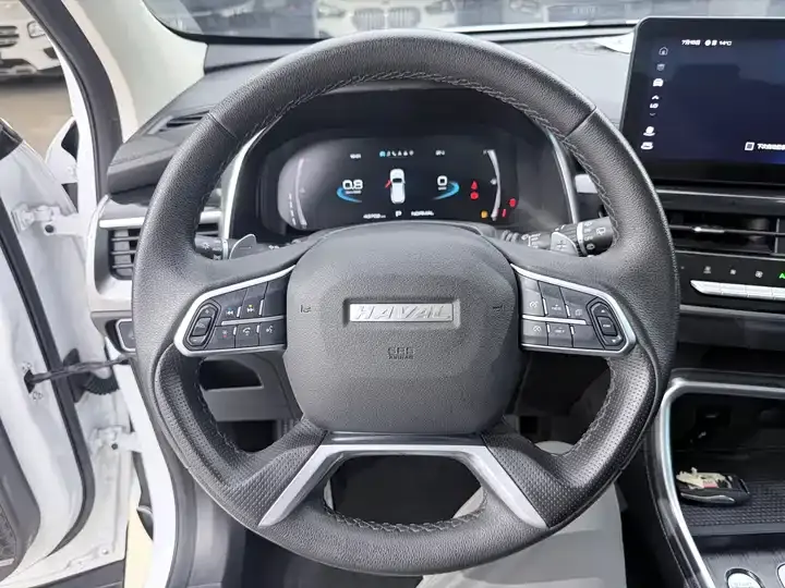 Haval H6 2021 National Tide Edition 1.5T Auto Champion Edition 10