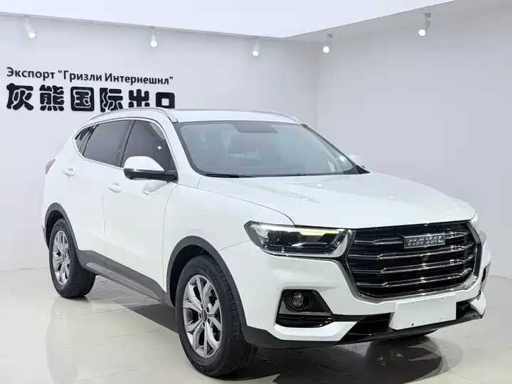 Haval H6 2021 National Tide Edition 1.5T Auto Champion Edition 3