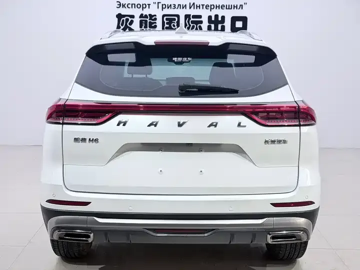 Haval H6 2021 National Tide Edition 1.5T Auto Champion Edition 5