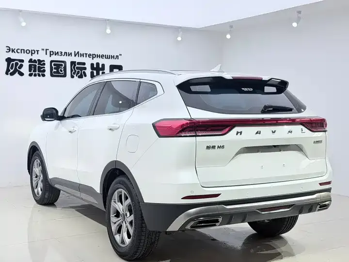 Haval H6 2021 National Tide Edition 1.5T Auto Champion Edition 6