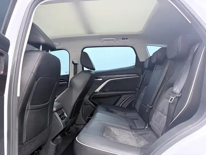 Haval H6 2021 National Tide Edition 1.5T Auto Champion Edition 8