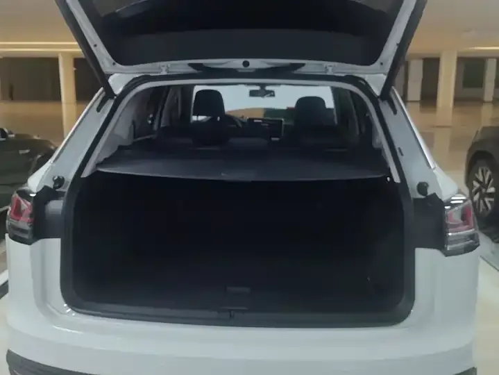 Tan Yue 2025 Public Enjoy 330TSI 4