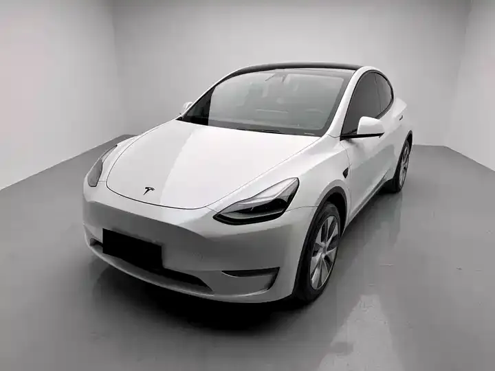 Model Y 2021 long-range all-wheel drive - View 1
