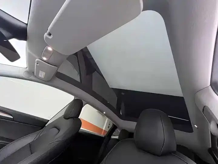 Model Y 2021 long-range all-wheel drive 12