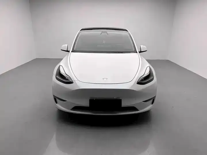 Model Y 2021 long-range all-wheel drive 2