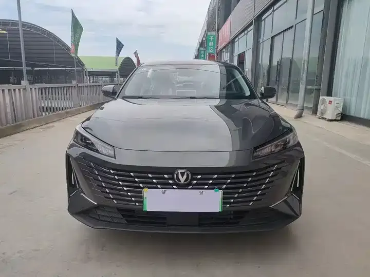 Yidong PHEV 2025 Smart New Blue Whale 145KM High Energy Edition 2