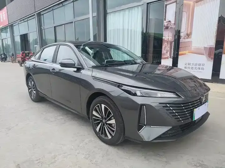 Yidong PHEV 2025 Smart New Blue Whale 145KM High Energy Edition 3