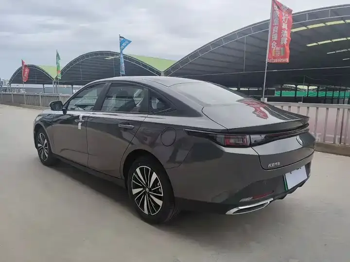 Yidong PHEV 2025 Smart New Blue Whale 145KM High Energy Edition 4
