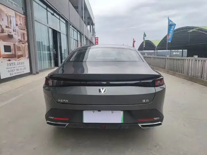 Yidong PHEV 2025 Smart New Blue Whale 145KM High Energy Edition 5