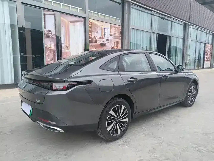 Yidong PHEV 2025 Smart New Blue Whale 145KM High Energy Edition 6