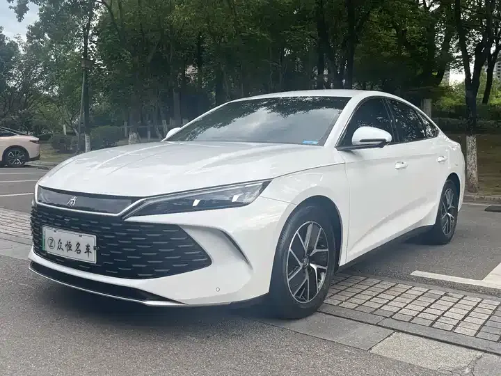 Qin L 2024 DM-i 80KM Exceed - View 1