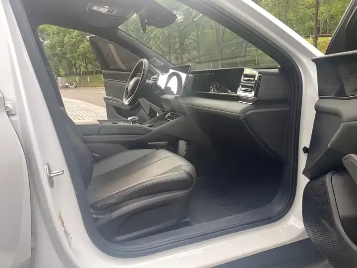 Qin L 2024 DM-i 80KM Exceed 10