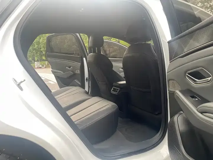 Qin L 2024 DM-i 80KM Exceed 11