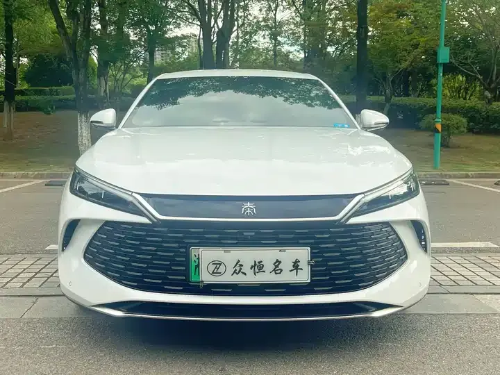 Qin L 2024 DM-i 80KM Exceed 2
