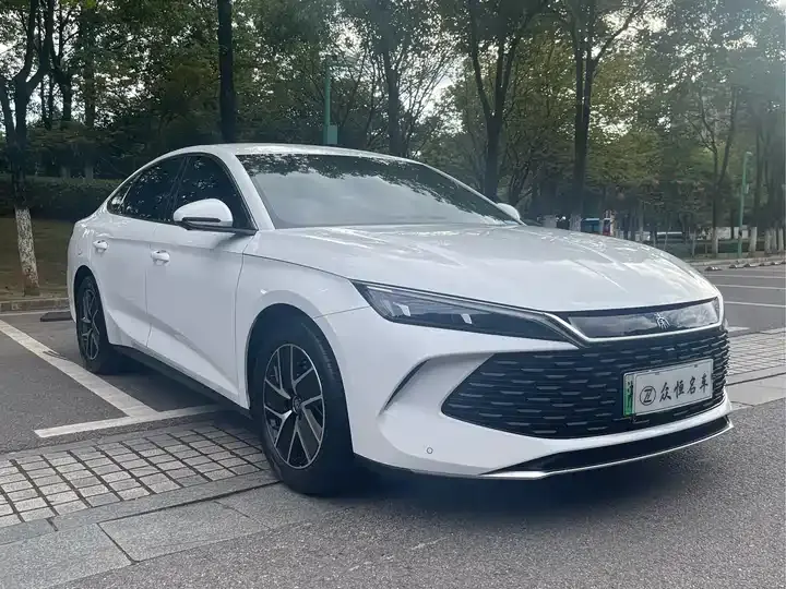 Qin L 2024 DM-i 80KM Exceed 3
