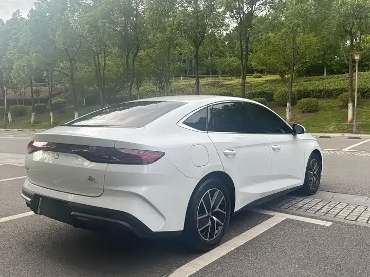 Qin L 2024 DM-i 80KM Exceed 4