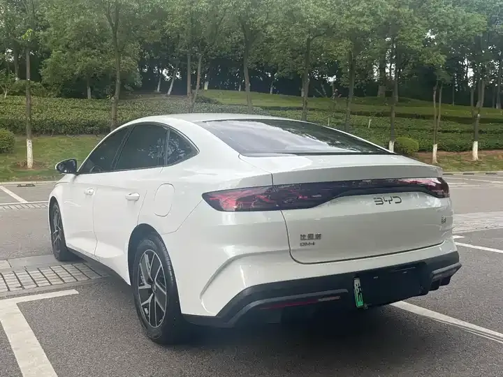 Qin L 2024 DM-i 80KM Exceed 6