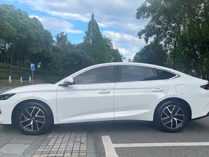 Qin L 2024 DM-i 80KM Exceed 7