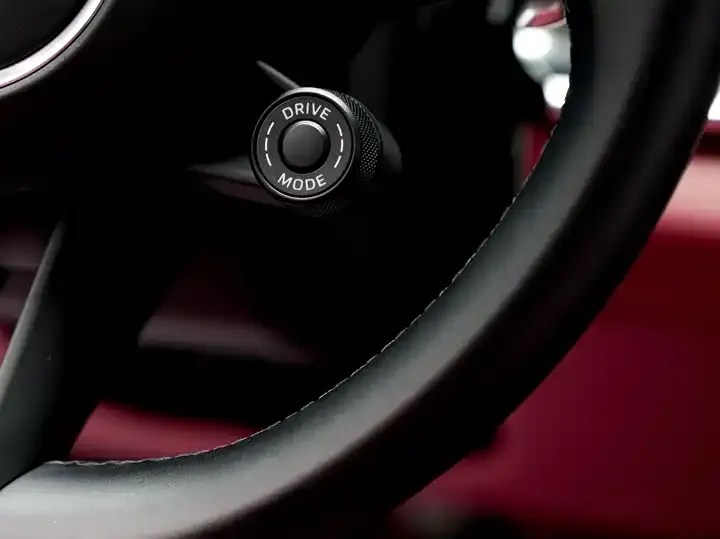 Panamera model 2021 Panamera 2.9T 11