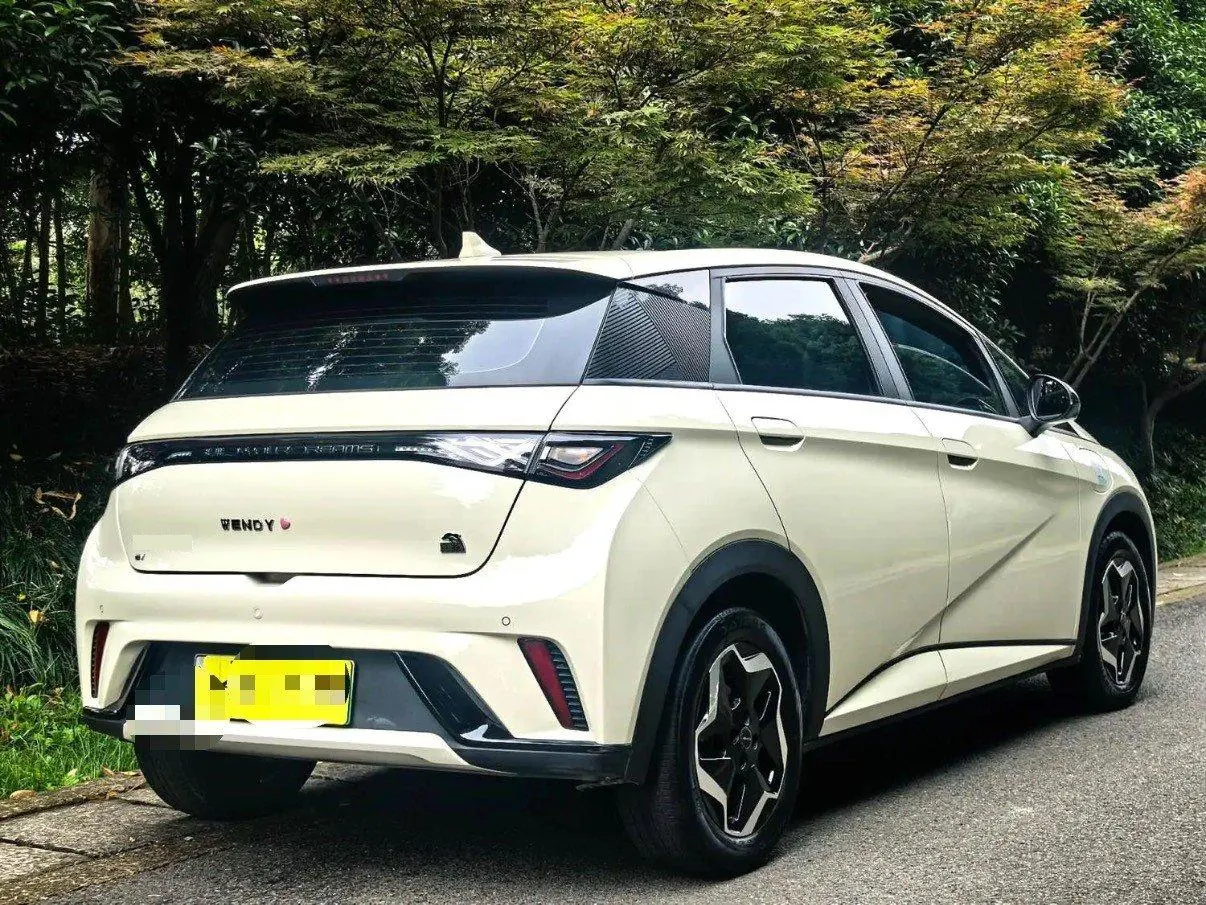 BYD 2021 Dolphin 405km Fashion Edition Automatic 10