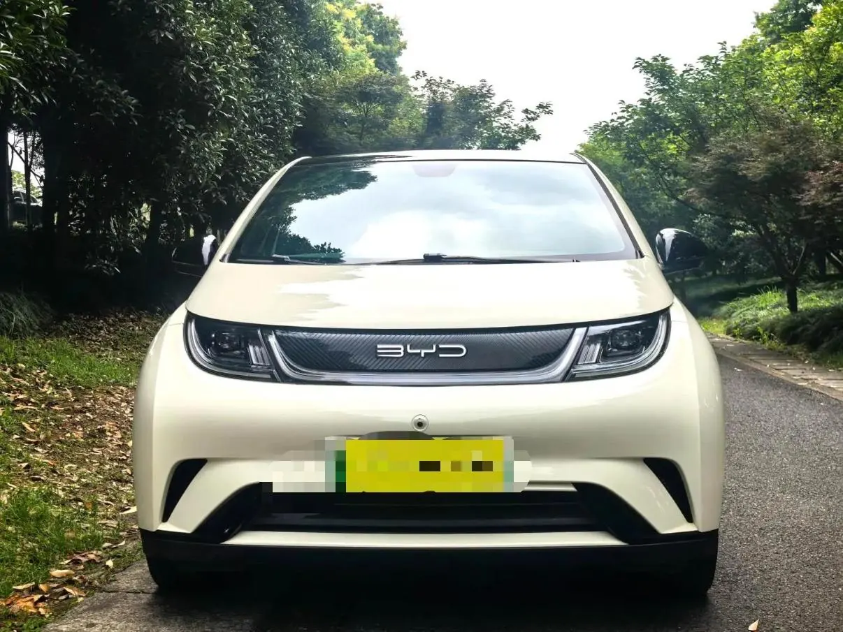 BYD 2021 Dolphin 405km Fashion Edition Automatic 2