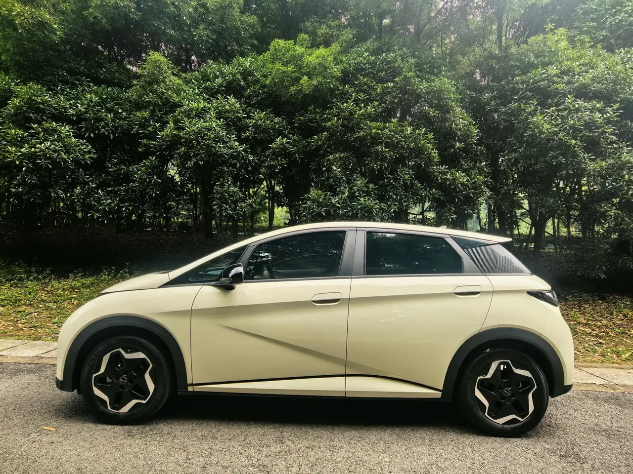 BYD 2021 Dolphin 405km Fashion Edition Automatic 3