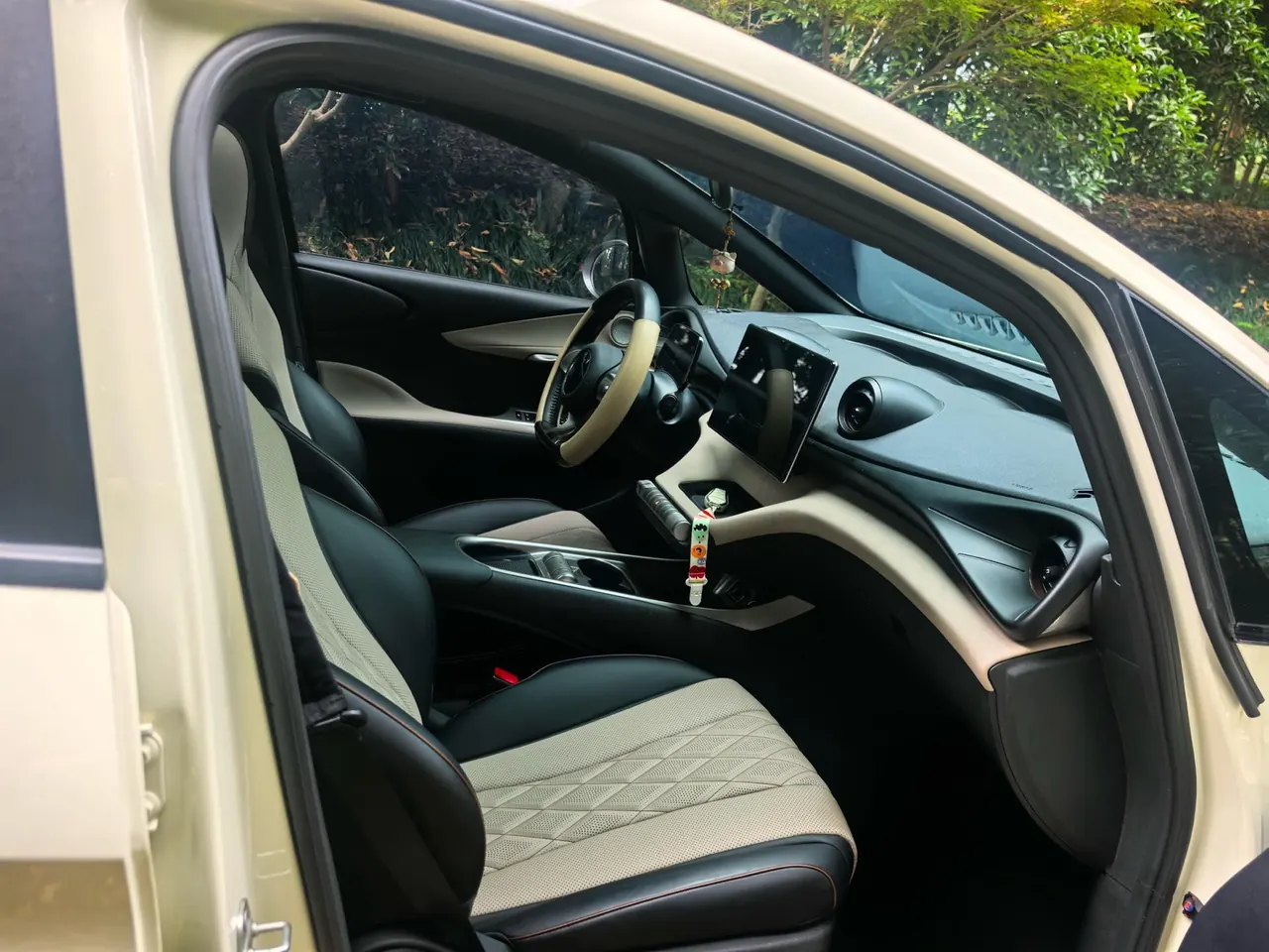 BYD 2021 Dolphin 405km Fashion Edition Automatic 4
