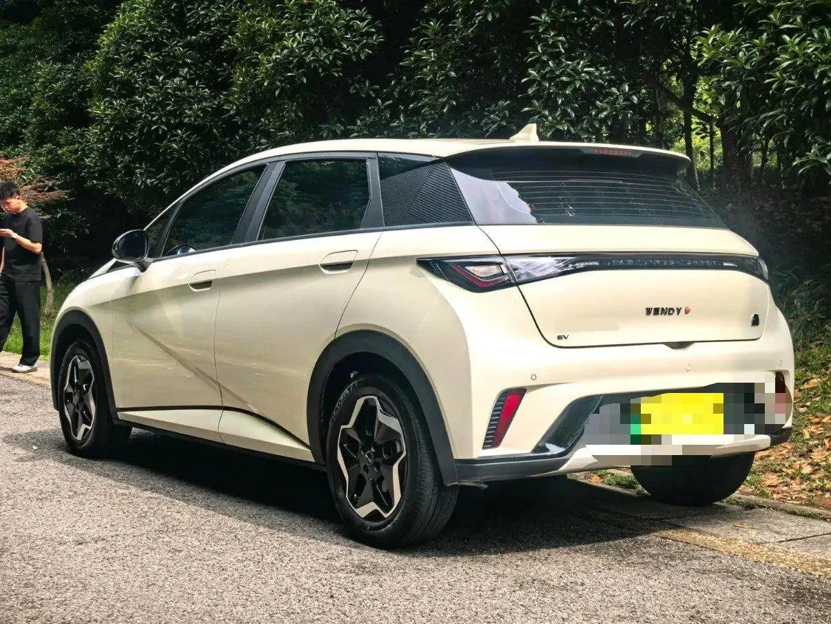BYD 2021 Dolphin 405km Fashion Edition Automatic 8
