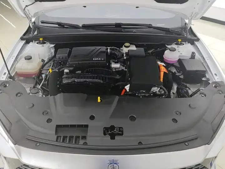 2024 Qin PLUS Glory Edition DM-i 55km Leading Model 10