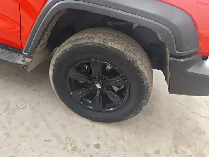 Tank 300 2021 Off-road Edition 2.0T Conqueror 6