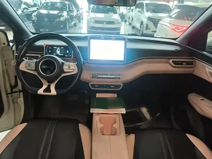 Seagull 2025 Model, 305 km, Freedom Edition 10