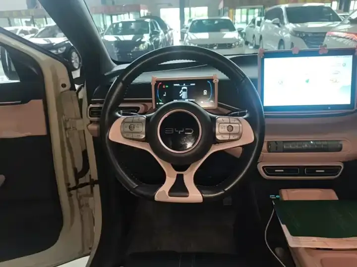 Seagull 2025 Model, 305 km, Freedom Edition 11