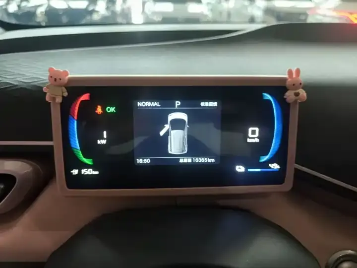 Seagull 2025 Model, 305 km, Freedom Edition 12