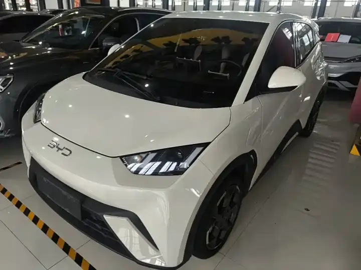 Seagull 2025 Model, 305 km, Freedom Edition 2